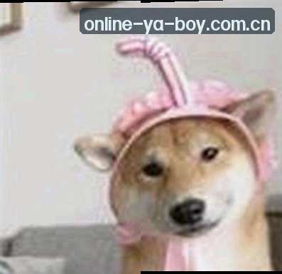 吴芳